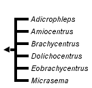 taxon links