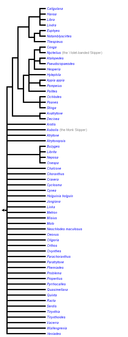 taxon links