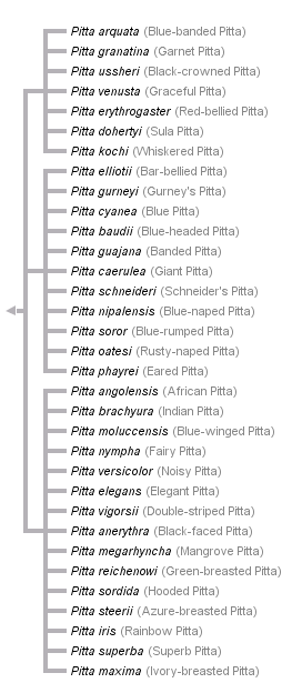 taxon links