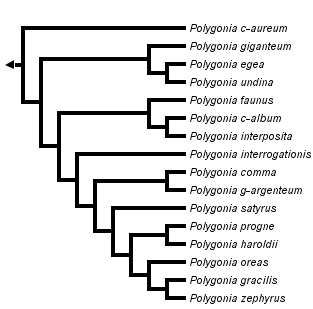 taxon links