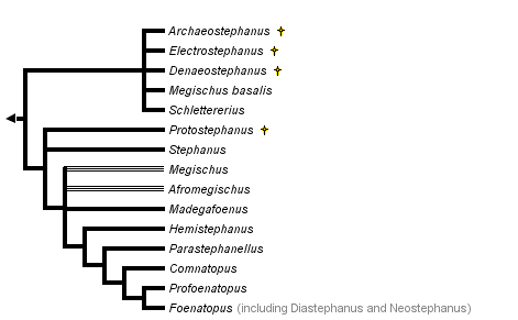 taxon links