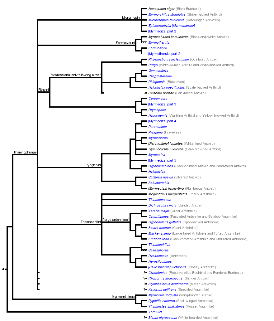 taxon links